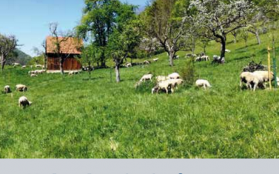 Kulturlandschaftspreis 2026